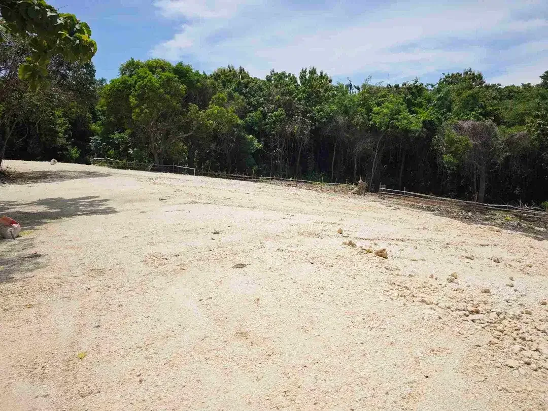 Tanah MURAH Ocean View dekat Tol Nusa Dua - Image 4 of 10