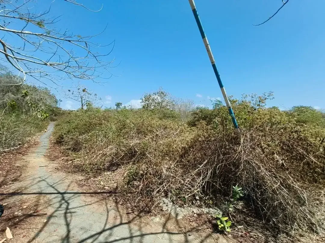 Tanah Jual Jl. Karang Biru, Sawangan, Nusa Dua - Image 8 of 10