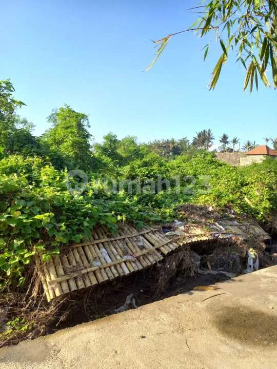 Dijual Cepat Tanah Strategis di Keramas - Image 4 of 4