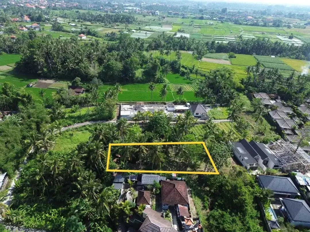[DIJUAL] Tanah Matang 10,5 Are Zona Campuran di Mambal Badung – Dekat Green School & Ubud - Image 1 of 10