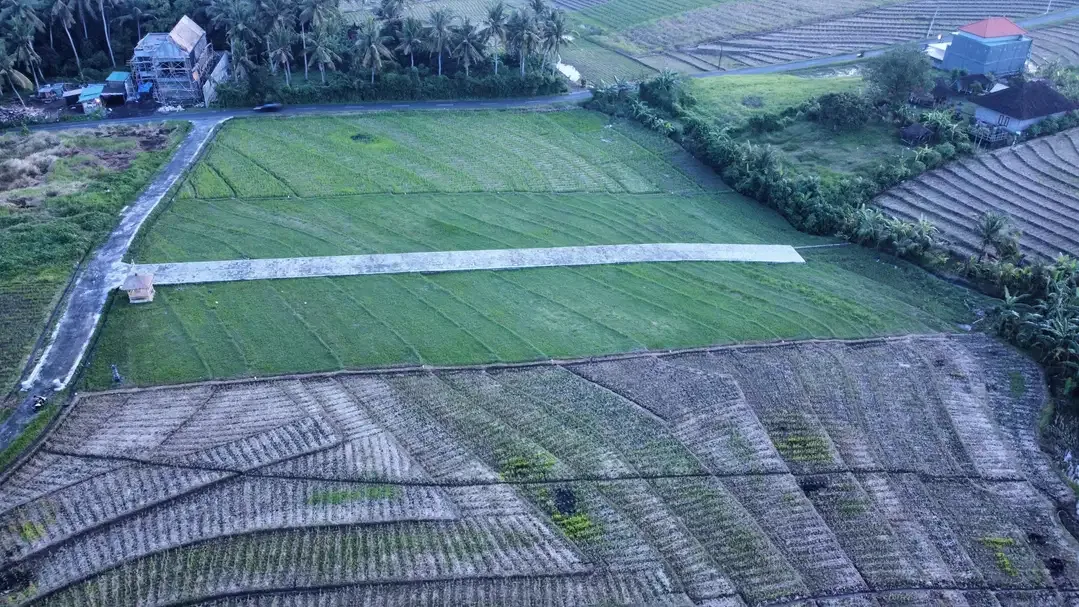 Tanah Kavling MURAH Di Beraban Tabanan Dekat Pantai Pasut Abian Kapas - Image 5 of 6