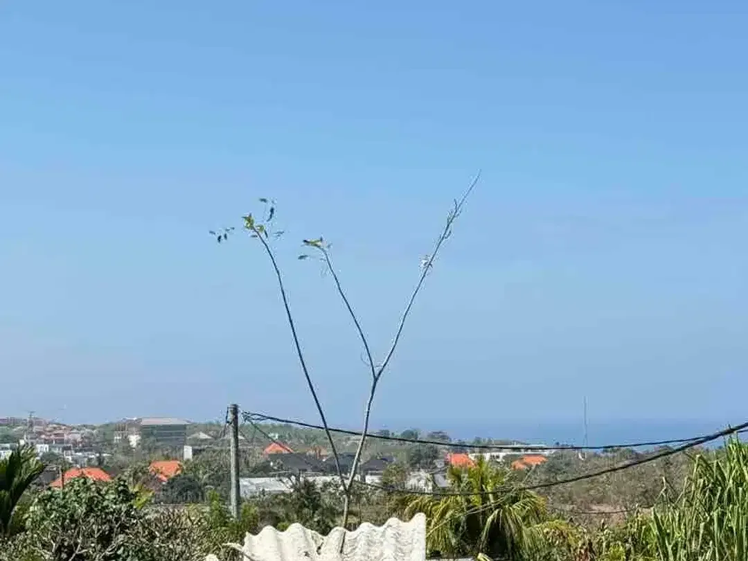 DIJUAL TANAH OCEAN VIEW – BELIMBING SARI III, PECATU BALI - Image 4 of 10