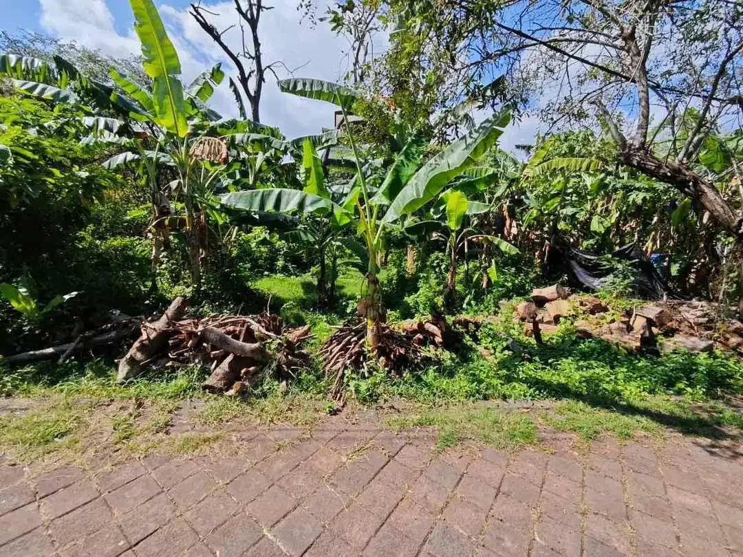 Tanah Lingkungan Villa Jl Gedong Sari Nusa Dua - Image 8 of 10