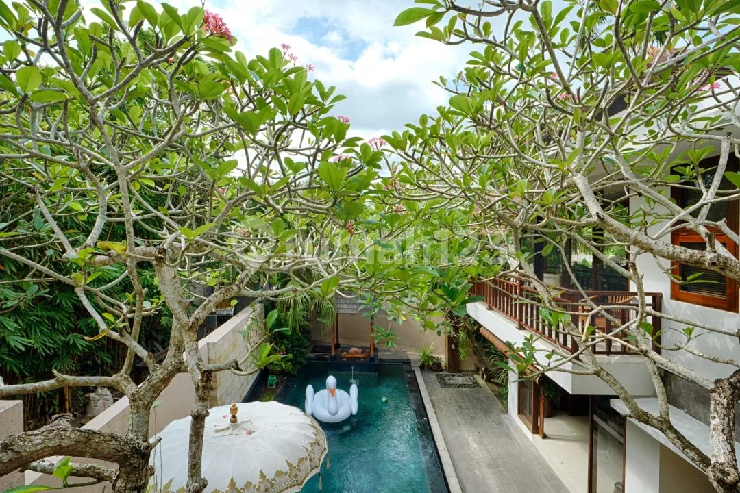 Ricefield View Villa Nyanyi - Beraban Tabanan - Image 2 of 4