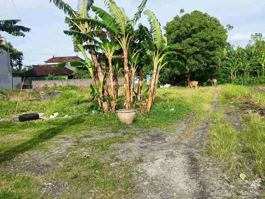 Jual Tanah 162meter ( Tinggal 1 kavling) Lokasi Jl Pura Demak, Denpasar, area Strategis & Tidak Banjir Hadap Selatan & Zona Kuning View Sawah.od - Image 3 of 8
