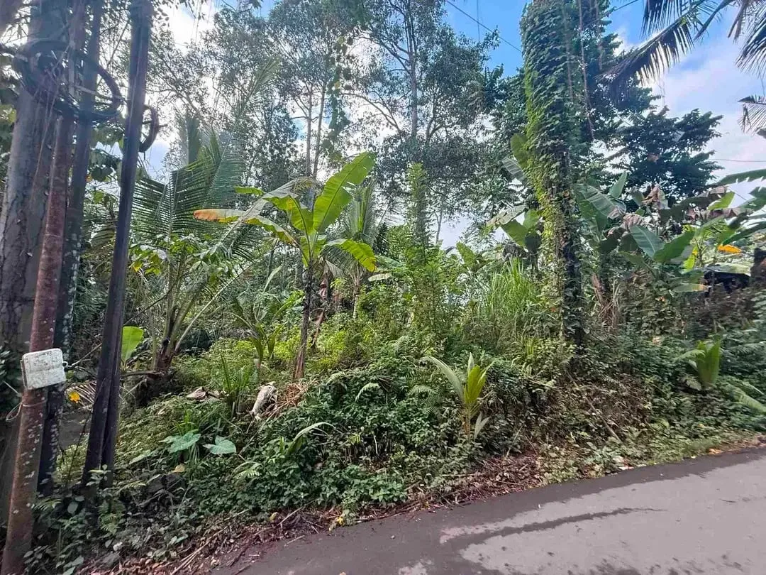 Tanah Murah Los Sungai Begawan Giri Payangan Ubud Bali - Image 4 of 10