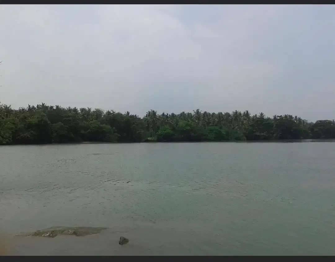 DIJUAL TANAH LOS PANTAI BERABAN DAN SUNGAI DI TABANAN - Image 4 of 10