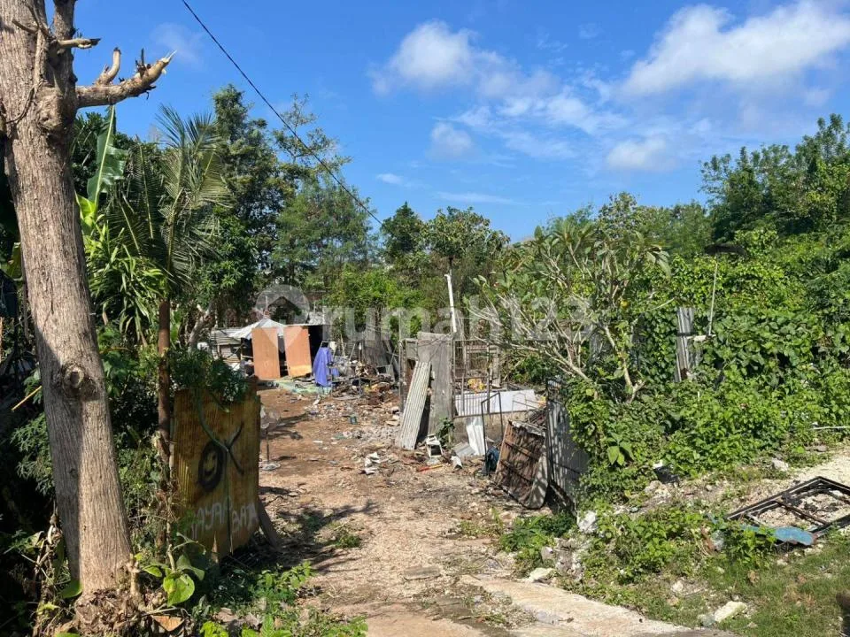 V620 Tanah Kampial Nusa Dua Murah Akses Jalan 5 M Cocok Villa - Image 3 of 4