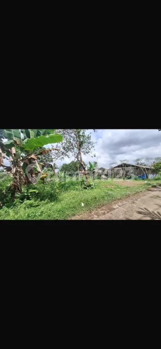 Tanah View Lembah Hutan Siap Bangun Harga Murah - Image 3 of 4