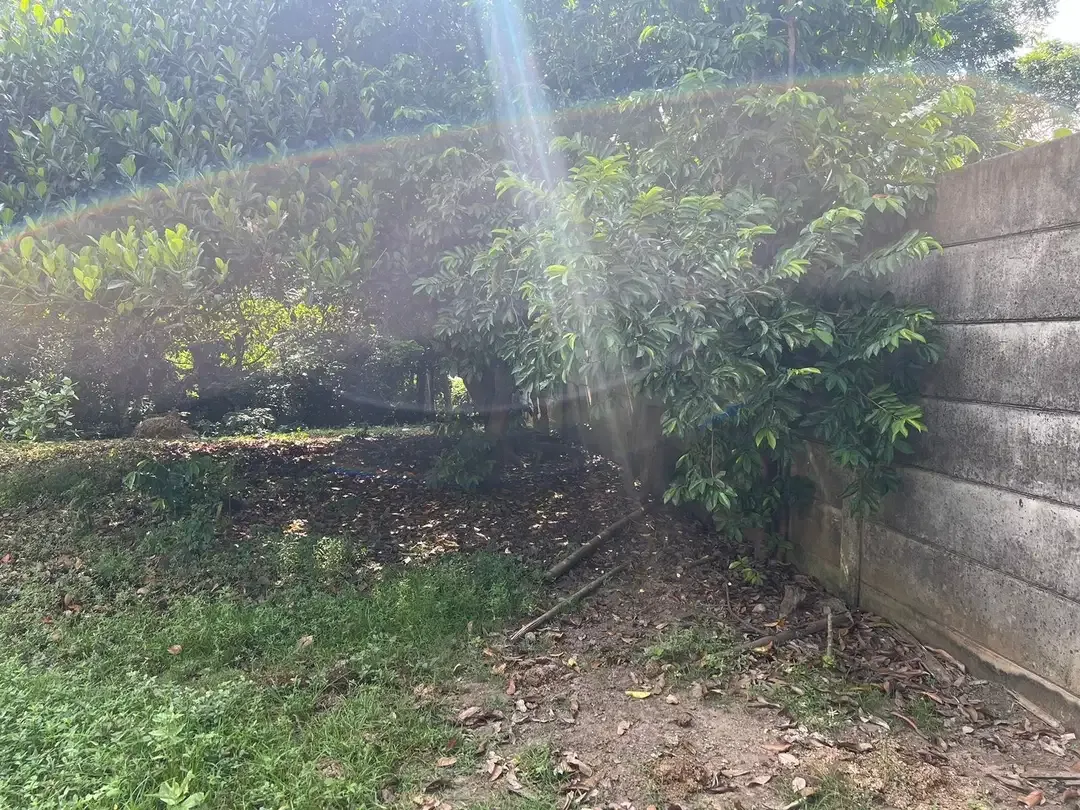 DIJUAL TANAH LOS SUNGAI NYANYI ZONA KUNING - Image 9 of 10