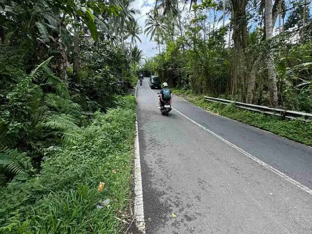 Tanah Komersil Murah di Jalan Utama Ubud Dekat Capella Resort - Image 2 of 7