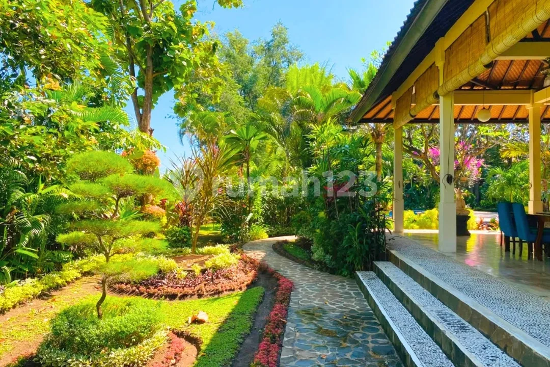 Freehold Villa Estate With Pondok Wisata License In Lovina - Image 1 of 4