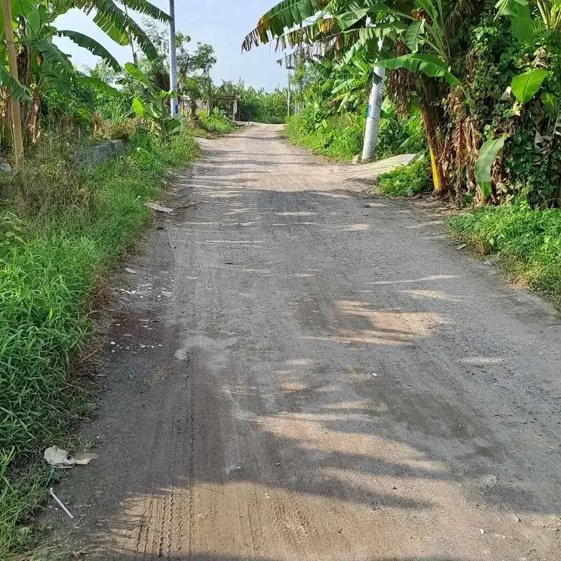 tanah kontrak dekat pantai seseh zona pariwisata pink - Image 4 of 7