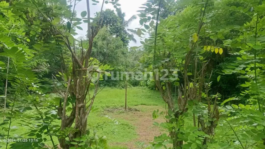 For Sale 6 Are Land Close To Tirtagangga - Image 3 of 4
