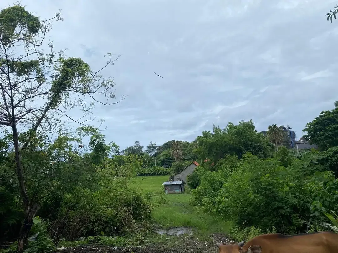 Dijual Tanah Area Brawa Canggu - Image 1 of 6