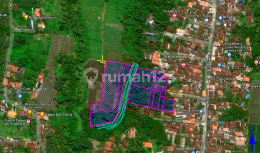 Tanah 90 Are di Area Ubud - Rare & Investment Opportunity - Image 1 of 4