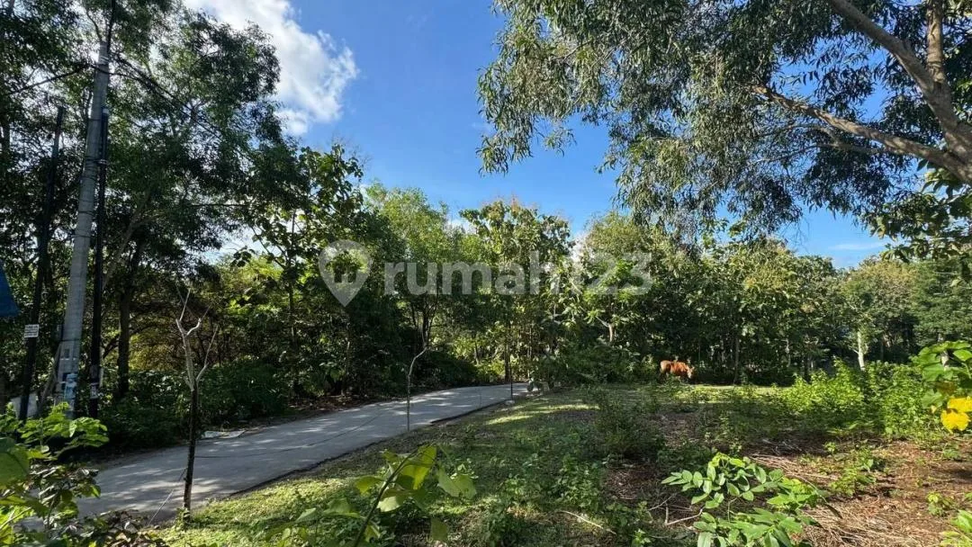 Uluwatu Cemongkak Ocean View Freehold Land - Image 2 of 4