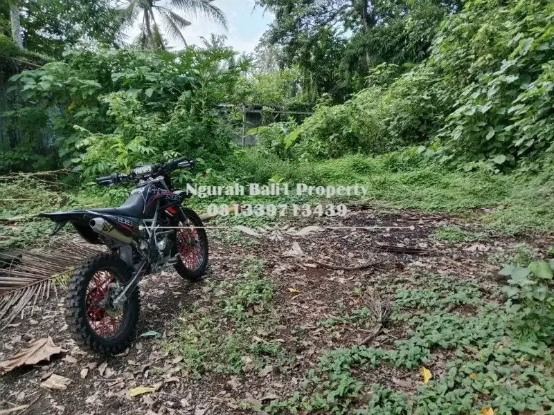 BUC Disewakan Tanah Murah Luas 2450 m2 View Sawah dan Sungai di Ubud - Image 3 of 6