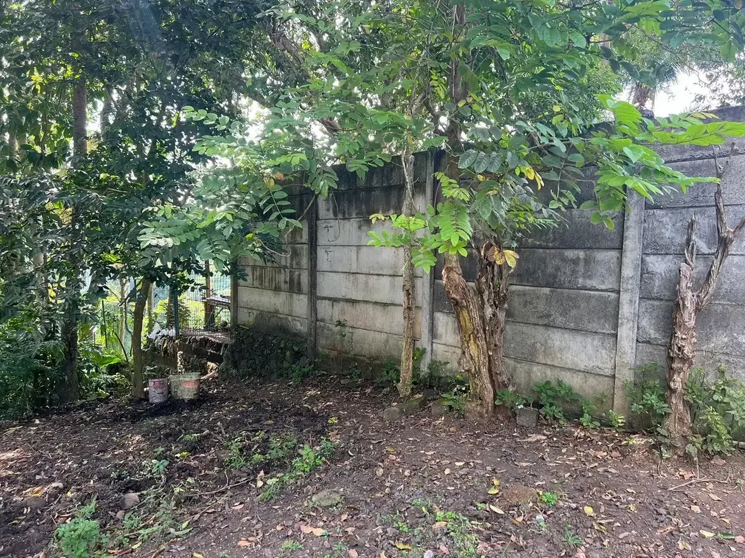 DIJUAL TANAH LOS SUNGAI NYANYI ZONA KUNING - Image 8 of 10