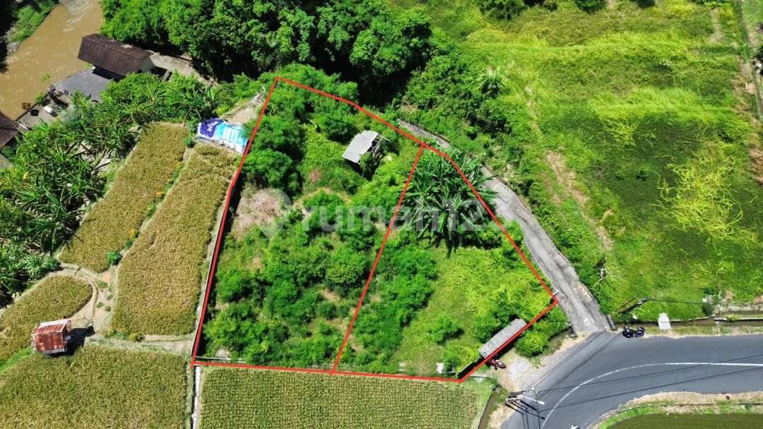 Jual Tanah Murah View Sungai Sawah dan Jungle Dekat Ubud - Image 3 of 4