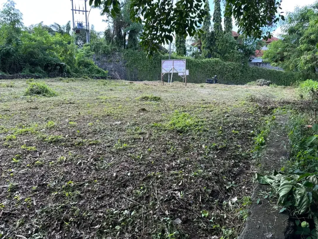 DI JUAL TANAH VIEW SAWAH DEKAT DENGAN CANGGU MUNGGU BALI - Image 8 of 10