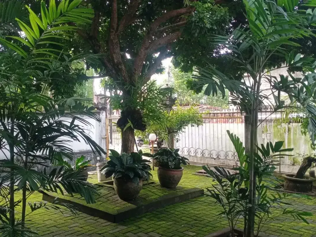 FOR SALE RUMAH BAGUS SANGAT LUAS DAN HARGA BEST  SHM DI JLN UTAMA JIMBARAN - Image 3 of 10