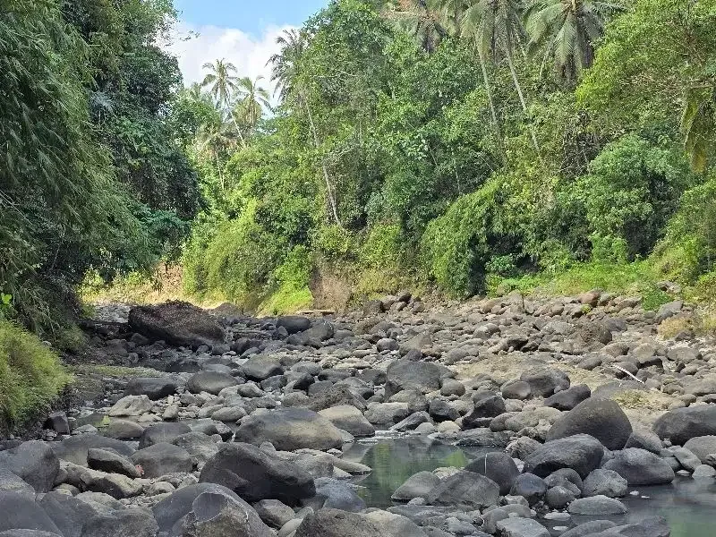 DIJUAL TANAH LOS SUNGAI di tabanan bali BEBATUAN - Image 1 of 10