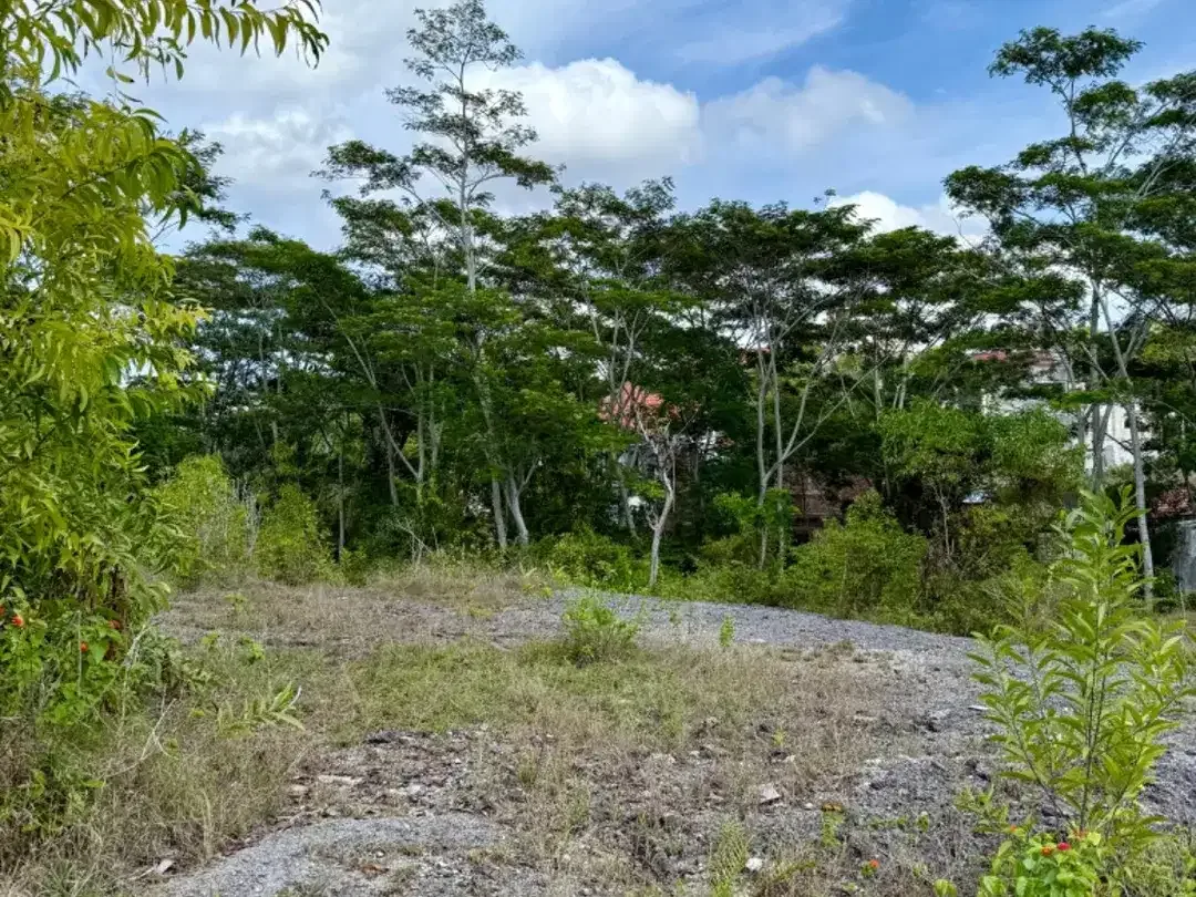 Tanah Dijual di Area Nusa Dua, Cocok untuk Investasi - Image 7 of 8