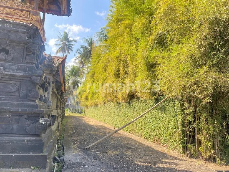 Jual Cepat Tanah Beachfront di Jembrana, Bali - Image 4 of 4