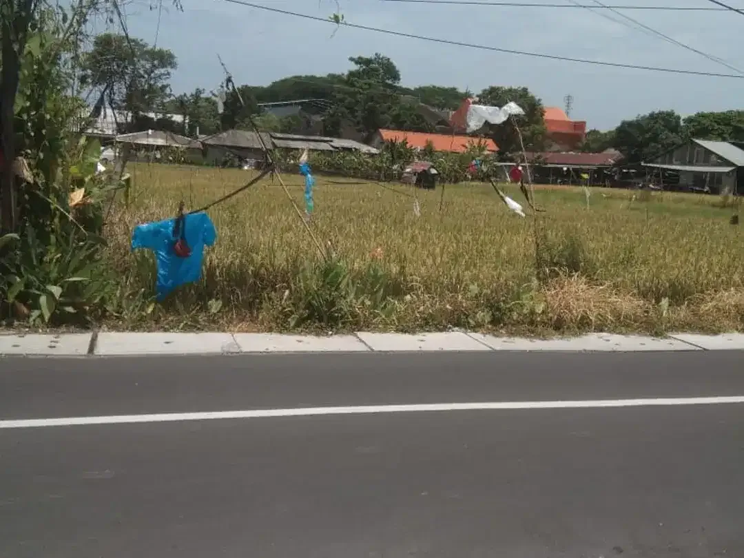 Tanah Disewakan di Jl. Merta Agung, Kerobokan - Image 5 of 5