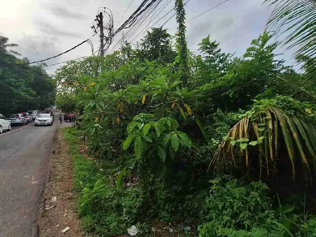 Dijual tanah di Jalan Utama Pecatu-Uluwatu - Image 1 of 7
