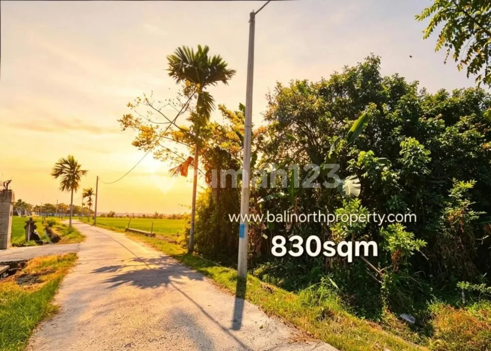 Tanah Premium Dekat Pantai Dijual - Seririt, Bali Utara - Image 4 of 4