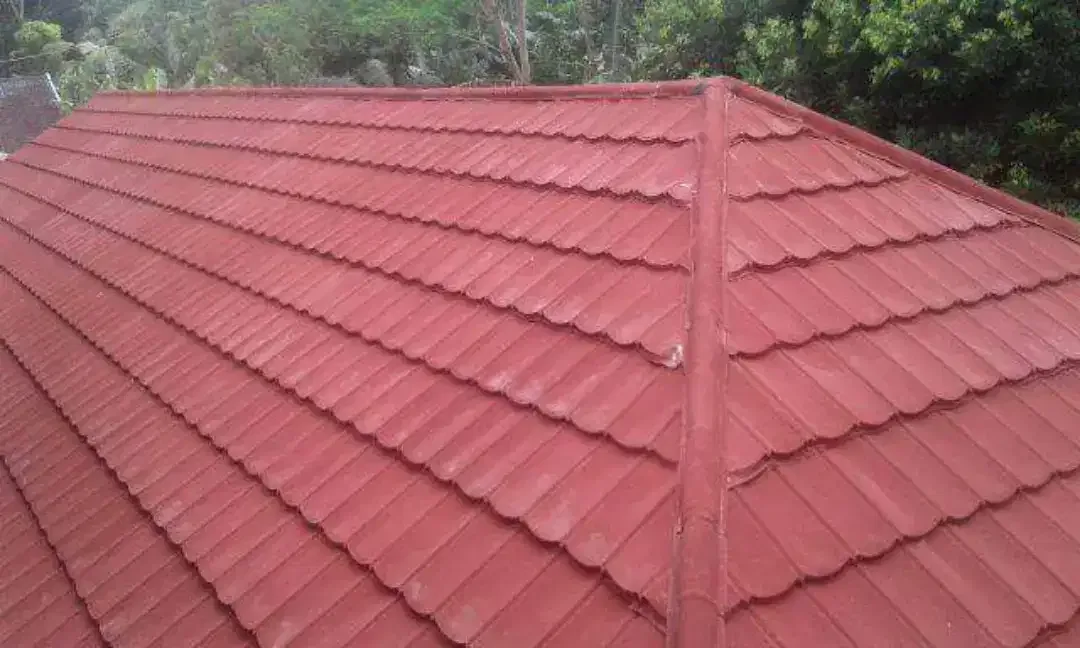 Kanopi , Canopy besi hollo, rangka baja ringan plafon PVC, . - Image 3 of 7