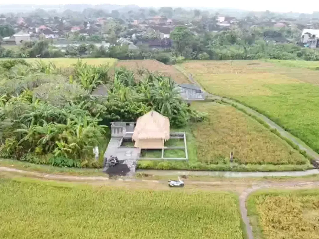 Leasehold - Exclusive Land in Yeh Gangga, Tabanan, Bali - Close to the Beach - Image 2 of 9