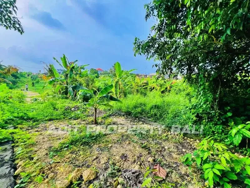 Tanah View Sawah Pantai Nyanyi Kediri Tabanan - Image 10 of 10
