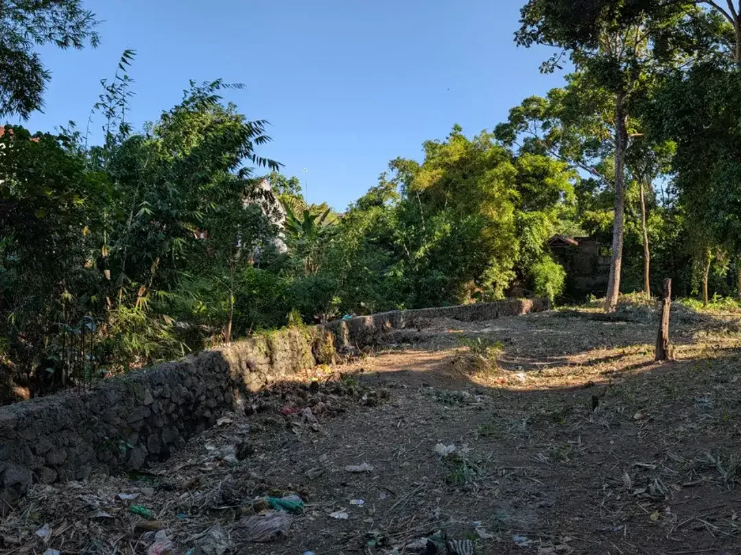 Leasehold - Riverside Land with Mature Trees & Ready Infrastructure in Canggu, Bali - Image 6 of 10