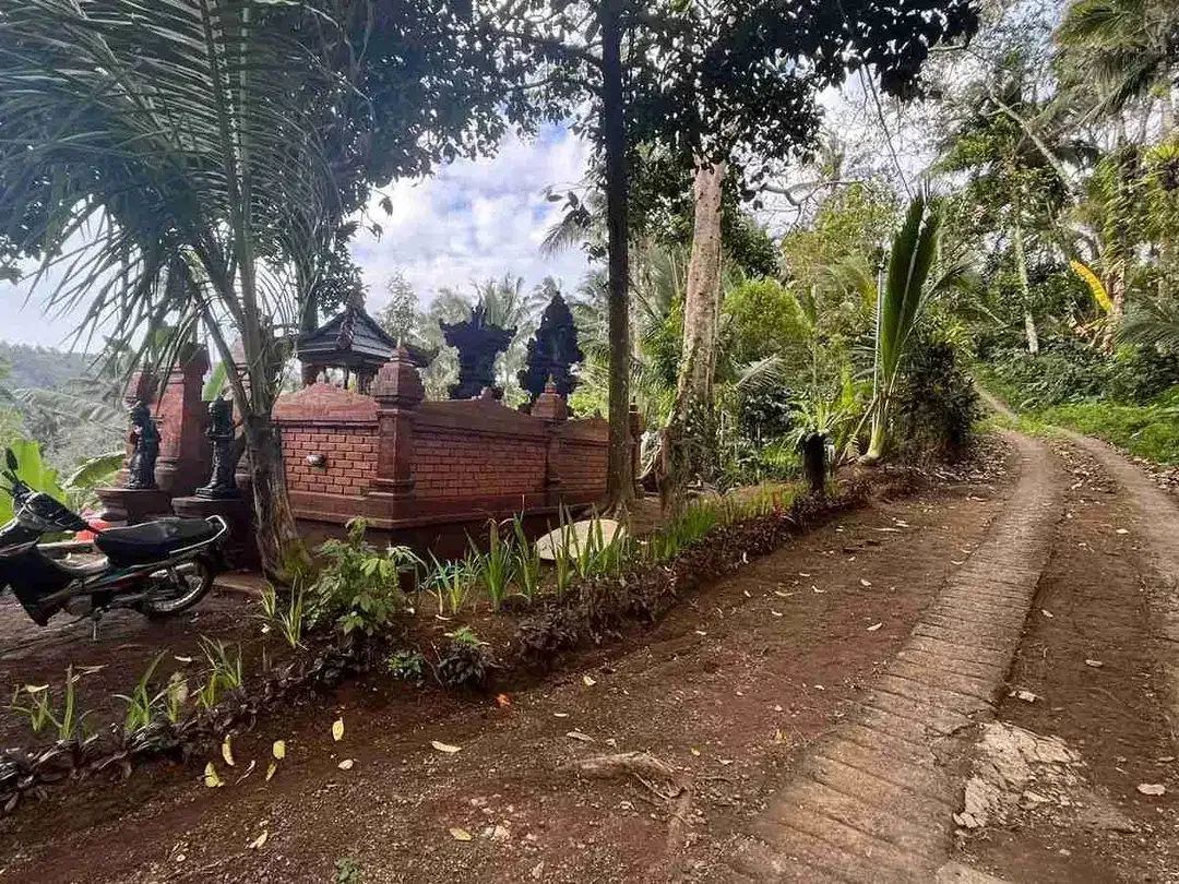 jual tanah kebun kopi Los sungai view sawah di pupuan tabanan bali. - Image 2 of 10