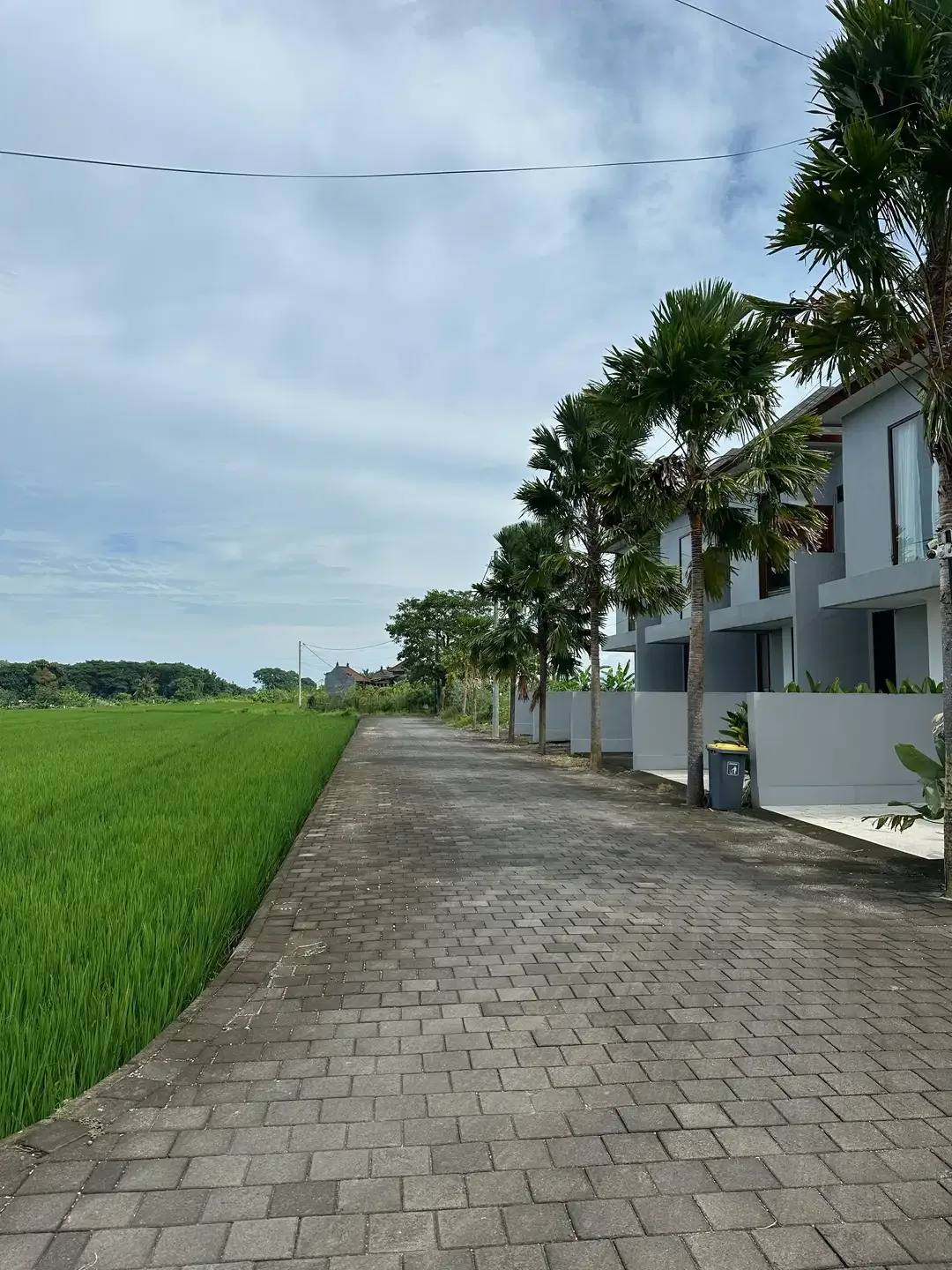 15 Menitan Canggu TANAH PANTAI KEDUNGU LINGKUNGAN VILLA VIEW SAWAH - Image 6 of 10