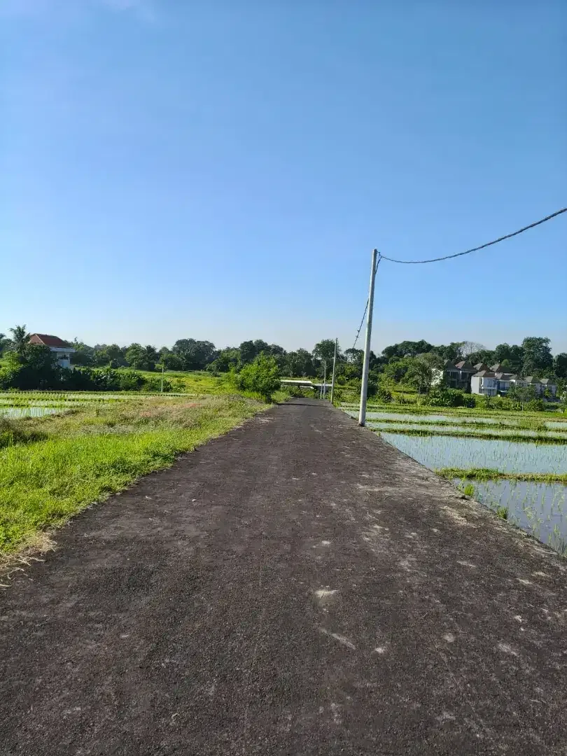 Kedungu beach luas 2 are - Image 3 of 6