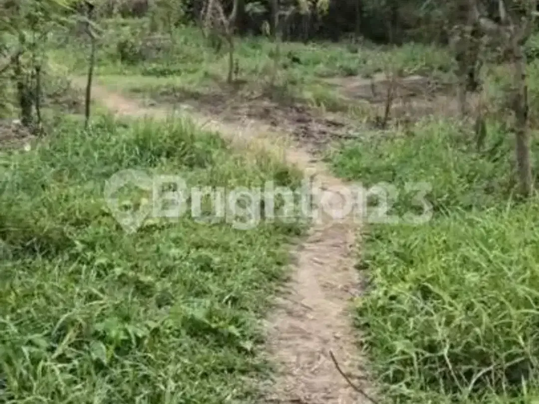 Tanah Luas 260 Are - Jalan Ida Bagus Mantra, Klungkung Lokasi Strategis Seberang Rs Graha Medika Klungkung Bali Cocok untuk Resort /Perumahan - Image 2 of 7