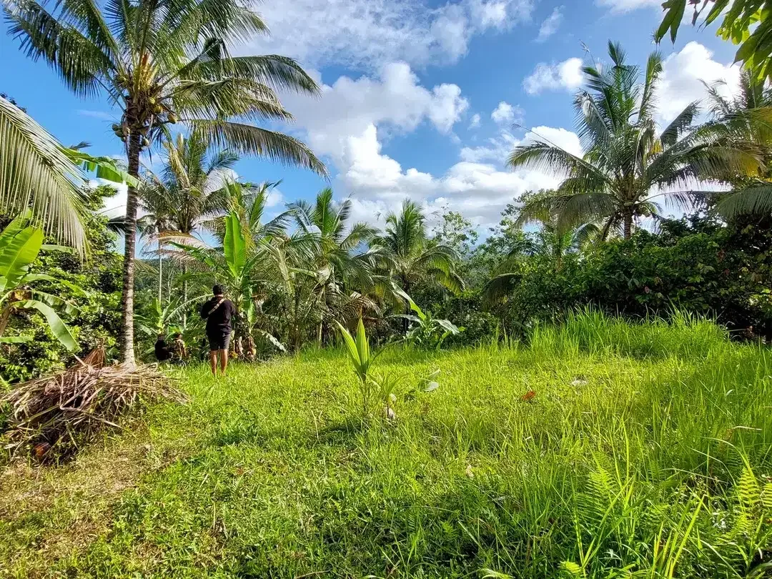 5.850 Sqm of Freehold Land for Sale with Beautiful Mountain View - Image 6 of 10