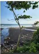 tanah 1,4 hektar di pantai pasut Tabanan - Image 2 of 7