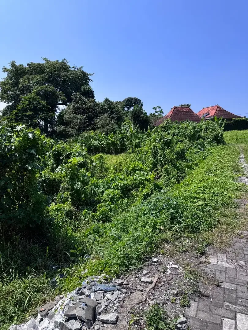 18 mnit to Canggu , Nyanyi Beach close nuany city - Image 2 of 6