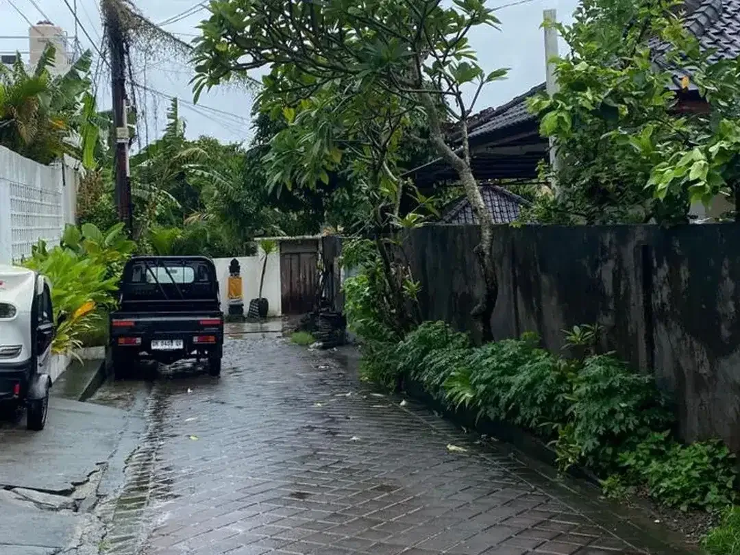 Freehold - Rare Land Plot 320 sqm for Sale in Canggu, Bali - Image 5 of 6
