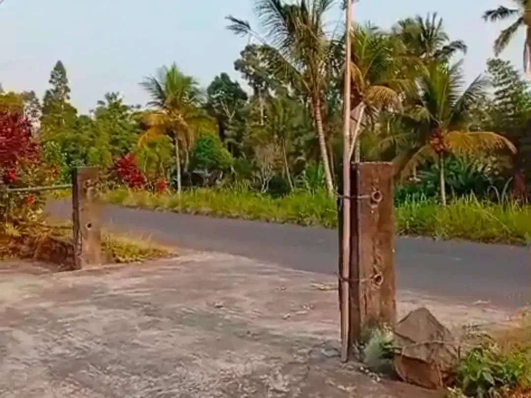 Tanah Riverside 78,5 Are Zona Kuning Dijual di Penebel Tabanan - Image 4 of 4