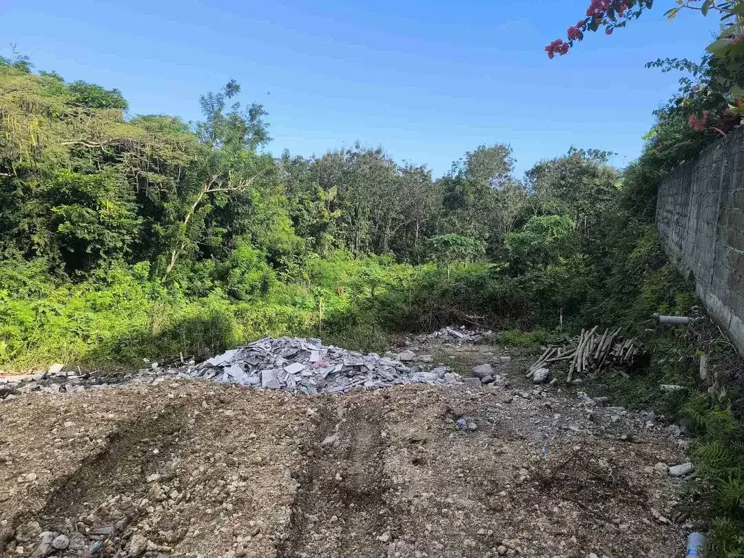 DIJUAL TANAH LOKASI STRATEGIS PECATU - ULUWATU, BALI - Image 6 of 8