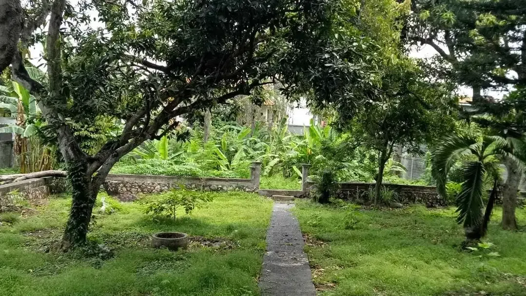 Dijual Tanah Strategis di Batu Belig–Lokasi Premium di Tengah Seminyak - Image 3 of 7