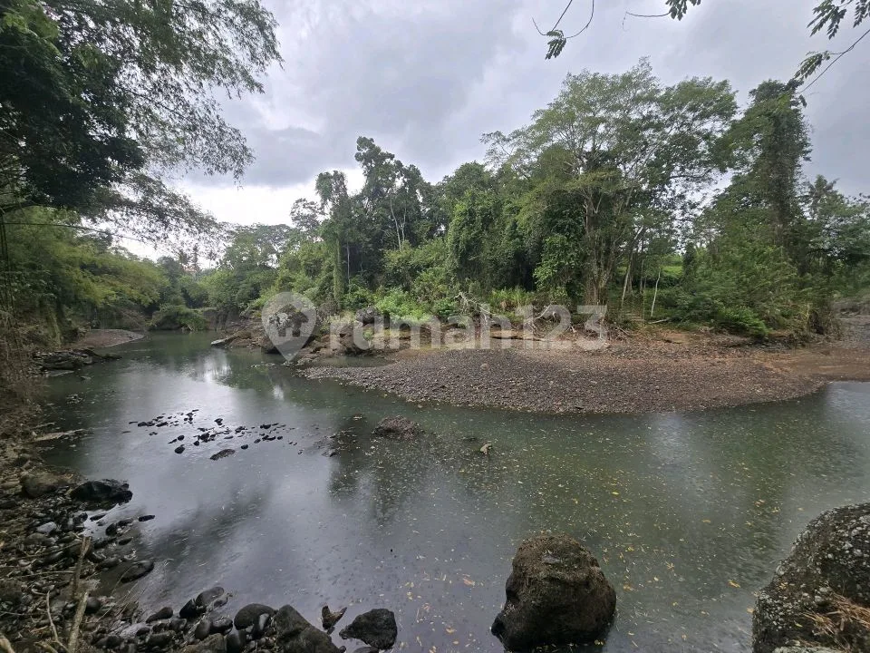 Dijual Tanah Datar Los Sungai Murah Yellow Zona di Tabanan Bali - Image 1 of 4
