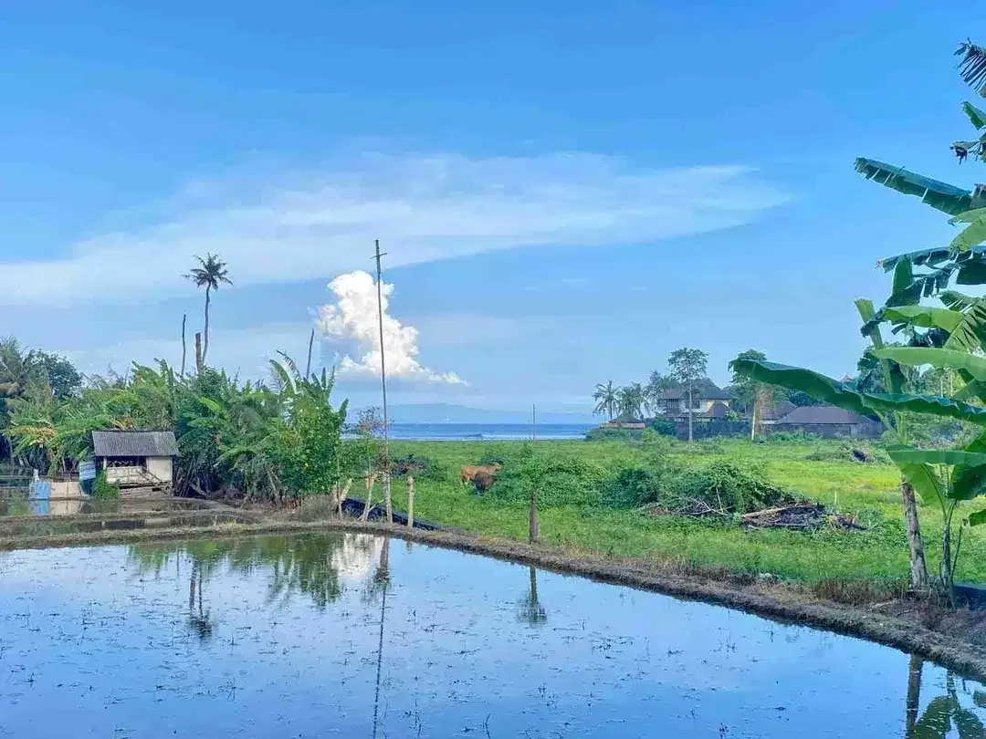 Tanah ocean sea pantai rangkan ketewel gianyar - Image 1 of 7