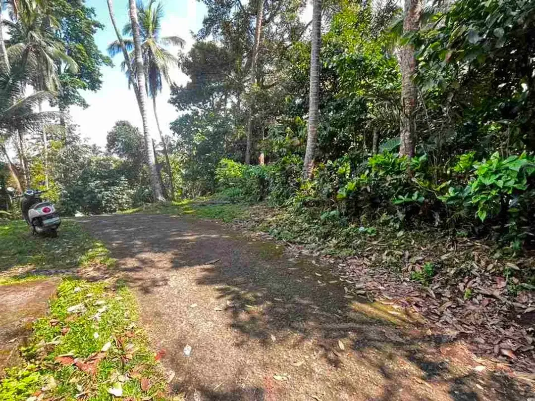 jual tanah kebun view sungai eksotik dan view junggle yang asri di tabanan bali. - Image 2 of 10
